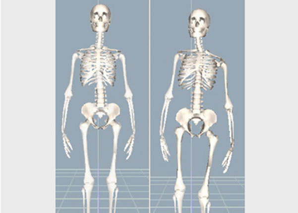 3D姿勢分析のイメージ画像